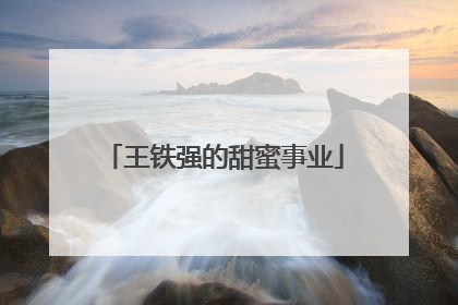 王铁强的甜蜜事业