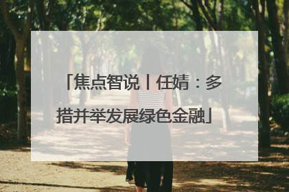 焦点智说丨任婧：多措并举发展绿色金融
