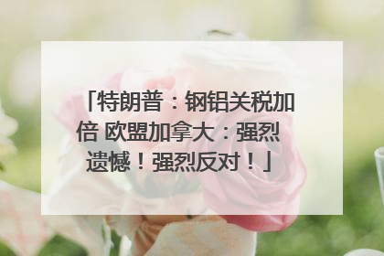 特朗普：钢铝关税加倍 欧盟加拿大：强烈遗憾！强烈反对！