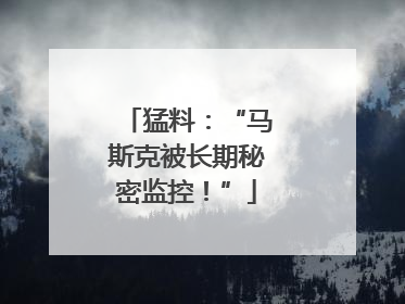 猛料：“马斯克被长期秘密监控！”