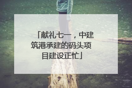献礼七一，中建筑港承建的码头项目建设正忙