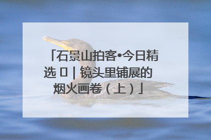 石景山拍客•今日精选 ㉓｜镜头里铺展的烟火画卷（上）