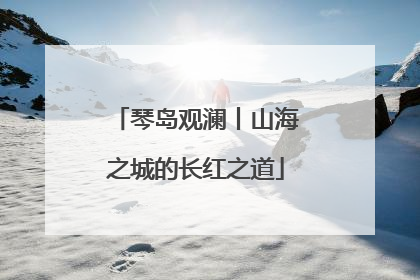 琴岛观澜丨山海之城的长红之道