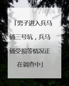 男子进入兵马俑三号坑，兵马俑受损等情况正在调查中