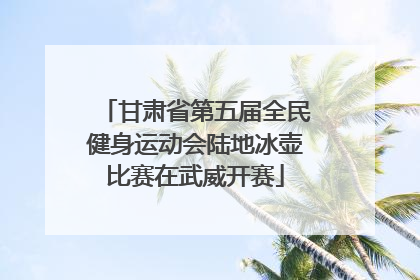 甘肃省第五届全民健身运动会陆地冰壶比赛在武威开赛