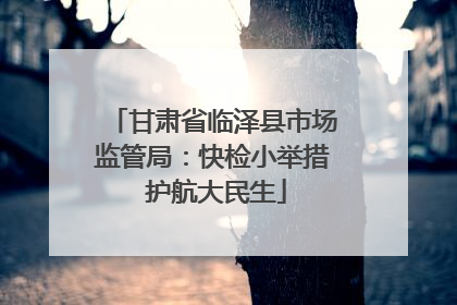 甘肃省临泽县市场监管局：快检小举措 护航大民生