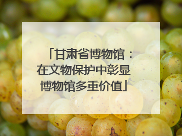 甘肃省博物馆：在文物保护中彰显博物馆多重价值