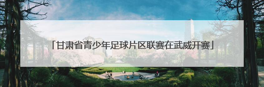 甘肃省青少年足球片区联赛在武威开赛