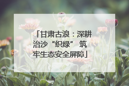 甘肃古浪：深耕治沙“织绿” 筑牢生态安全屏障