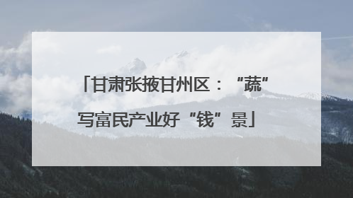 甘肃张掖甘州区：“蔬”写富民产业好“钱”景