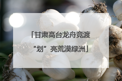 甘肃高台龙舟竞渡“划”亮荒漠绿洲