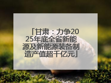 甘肃：力争2025年底全省新能源及新能源装备制造产值超千亿元