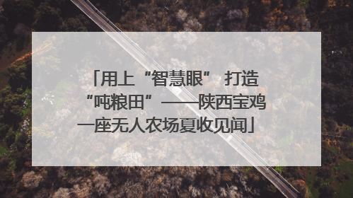 用上“智慧眼” 打造“吨粮田”——陕西宝鸡一座无人农场夏收见闻