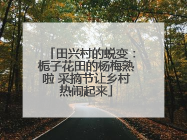 田兴村的蜕变：栀子花田的杨梅熟啦 采摘节让乡村热闹起来