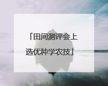 田间测评会上选优种学农技