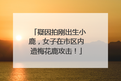 疑因拍刚出生小鹿，女子在市区内遭梅花鹿攻击！