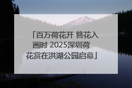 百万荷花开 簪花入画时 2025深圳荷花赏在洪湖公园启幕