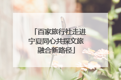 百家旅行社走进宁夏同心共探文旅融合新路径
