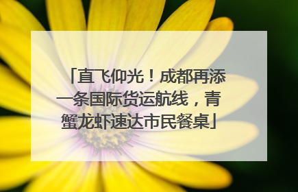 直飞仰光！成都再添一条国际货运航线，青蟹龙虾速达市民餐桌