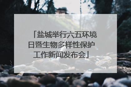 盐城举行六五环境日暨生物多样性保护工作新闻发布会
