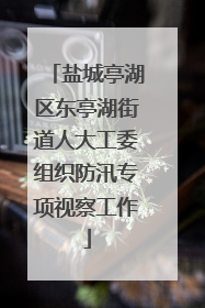 盐城亭湖区东亭湖街道人大工委组织防汛专项视察工作