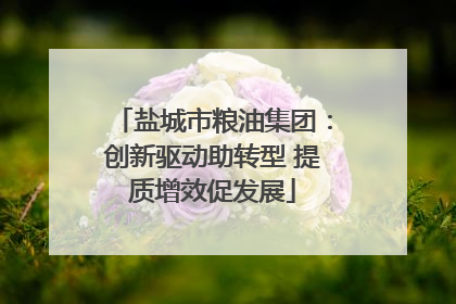 盐城市粮油集团：创新驱动助转型 提质增效促发展