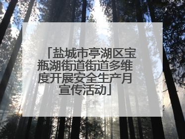 盐城市亭湖区宝瓶湖街道街道多维度开展安全生产月宣传活动