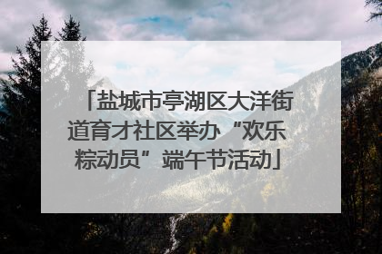 盐城市亭湖区大洋街道育才社区举办“欢乐粽动员”端午节活动