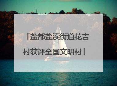 盐都盐渎街道花吉村获评全国文明村