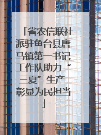 省农信联社派驻鱼台县唐马镇第一书记工作队助力“三夏”生产 彰显为民担当