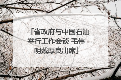 省政府与中国石油举行工作会谈 毛伟明戴厚良出席