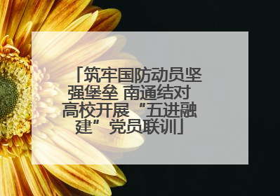 筑牢国防动员坚强堡垒 南通结对高校开展“五进融建”党员联训