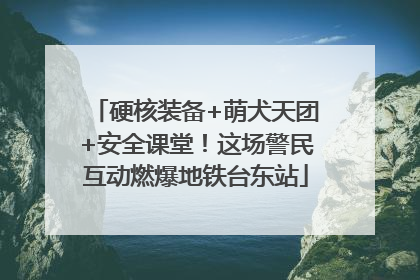 硬核装备+萌犬天团+安全课堂！这场警民互动燃爆地铁台东站