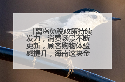 离岛免税政策持续发力，消费场景不断更新，顾客购物体验感提升，海南这块金字招牌够亮！
