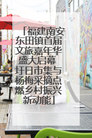 福建南安东田镇首届文旅嘉年华盛大启幕 圩日市集与杨梅采摘点燃乡村振兴新动能