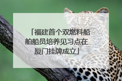 福建首个双燃料船舶船员培养见习点在厦门挂牌成立