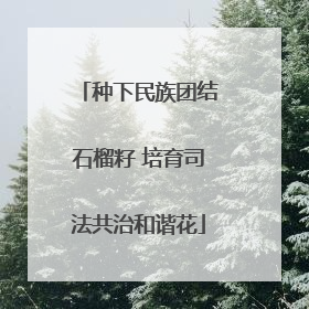 种下民族团结石榴籽 培育司法共治和谐花