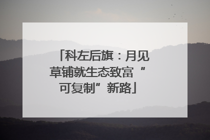 科左后旗：月见草铺就生态致富“可复制”新路