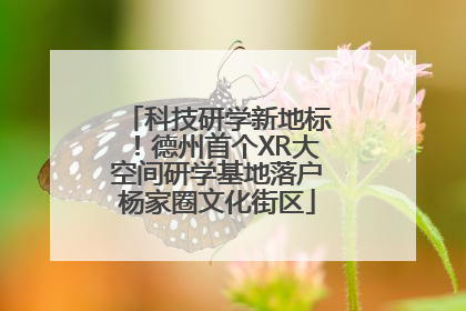 科技研学新地标！德州首个XR大空间研学基地落户杨家圈文化街区