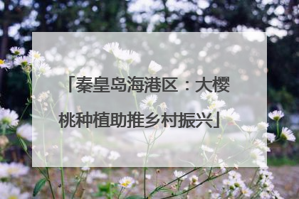 秦皇岛海港区：大樱桃种植助推乡村振兴