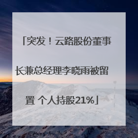 突发！云路股份董事长兼总经理李晓雨被留置 个人持股21%