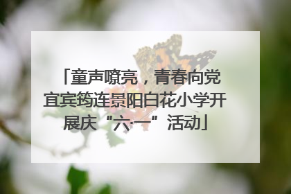 童声嘹亮，青春向党 宜宾筠连景阳白花小学开展庆“六·一”活动