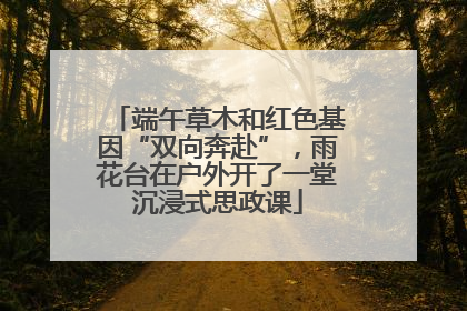 端午草木和红色基因“双向奔赴”，雨花台在户外开了一堂沉浸式思政课