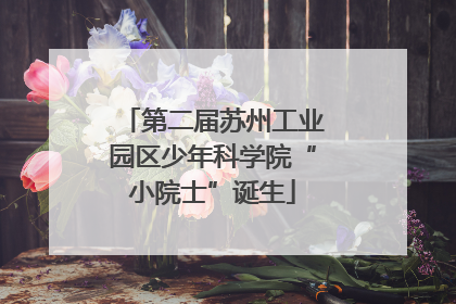 第二届苏州工业园区少年科学院“小院士”诞生