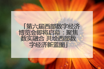 第六届西部数字经济博览会即将启幕：聚焦数实融合 共绘西部数字经济新蓝图