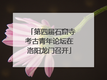 第四届石窟寺考古青年论坛在洛阳龙门召开