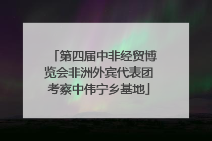 第四届中非经贸博览会非洲外宾代表团考察中伟宁乡基地