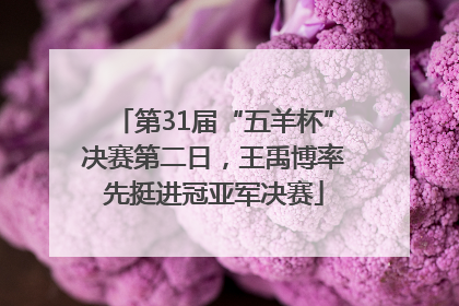 第31届“五羊杯”决赛第二日，王禹博率先挺进冠亚军决赛