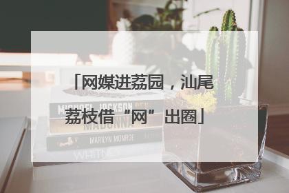 网媒进荔园，汕尾荔枝借“网”出圈