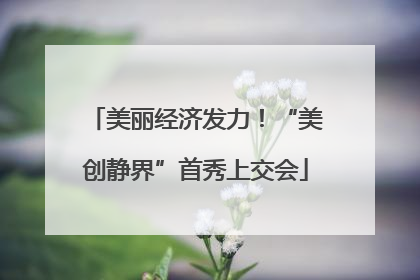 美丽经济发力！“美创静界”首秀上交会